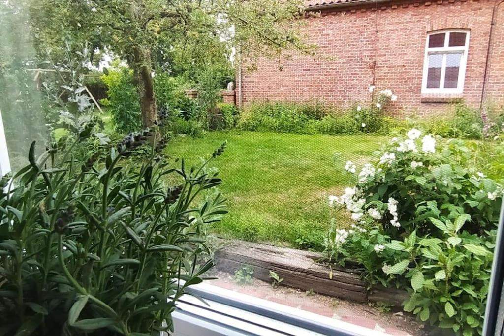 Fairschlafen - Gartenwohnung Buecken Экстерьер фото